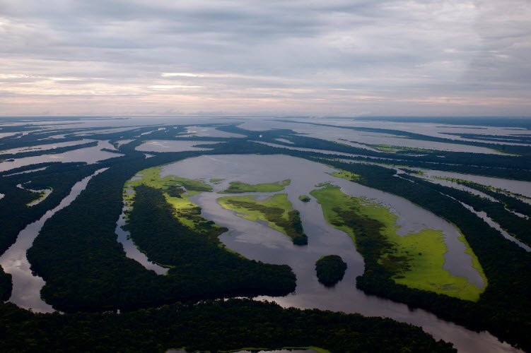 Anavilhanas National Park